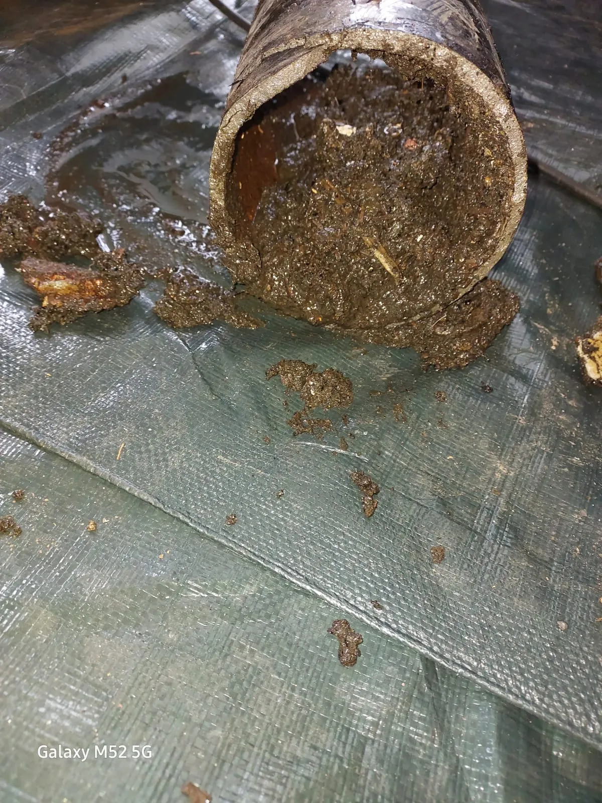Close-up of a drainpipe completely clogged with dark, thick sludge and various waste materials on a green tarp, indicating a severe blockage.