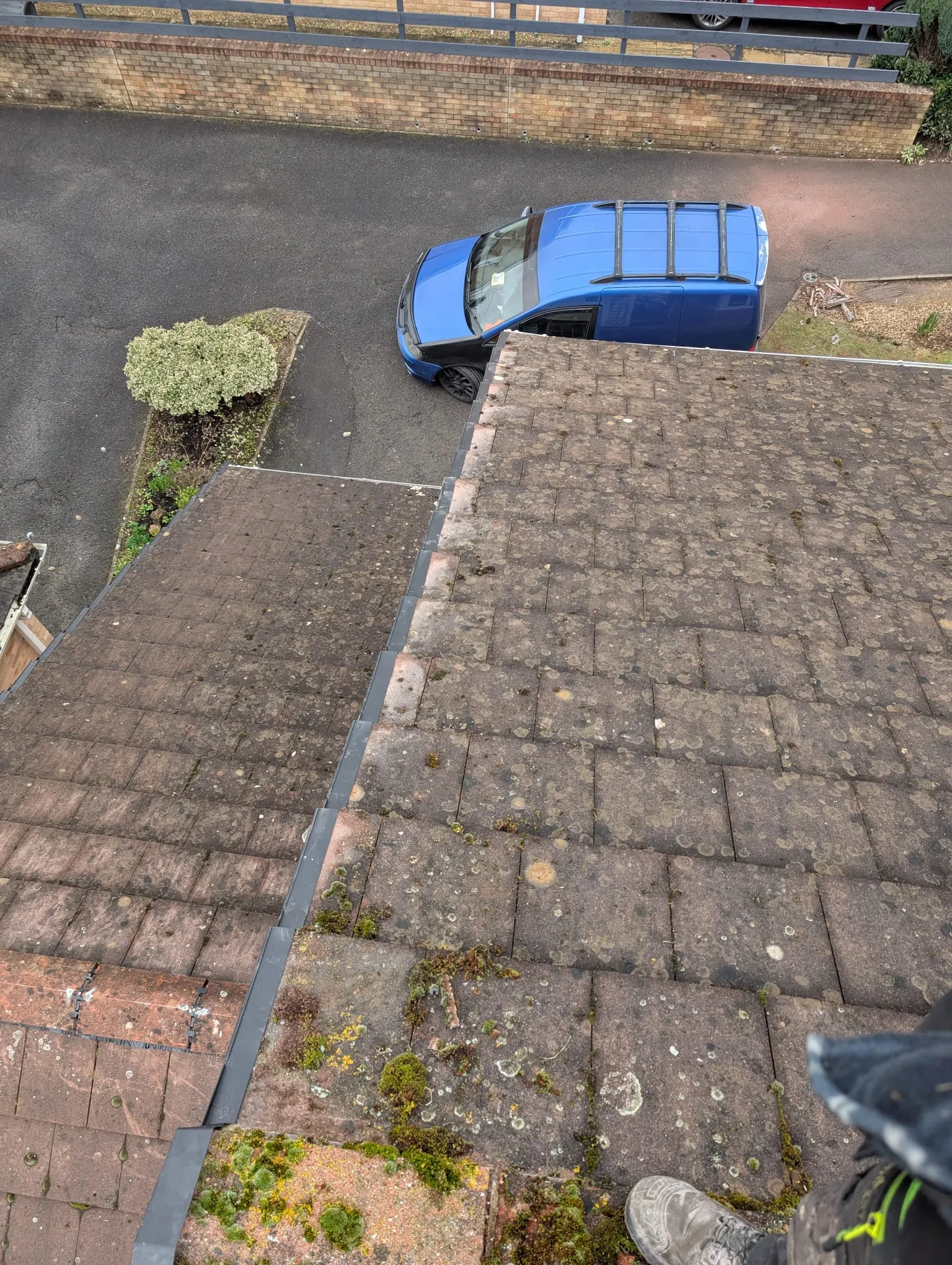 Moss and lichen covering a tiled roof, highlighting the need for roof cleaning and moss removal services.