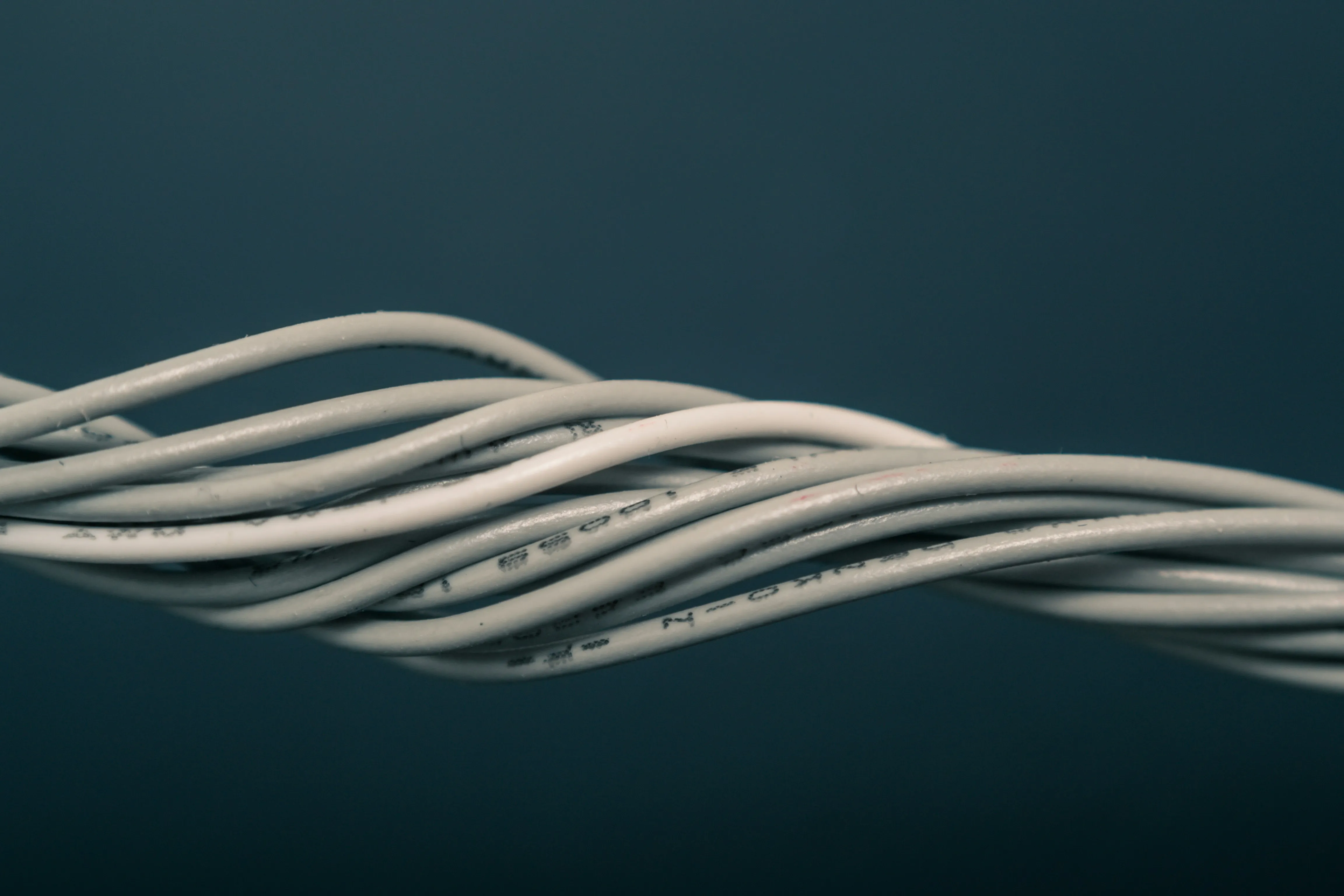 Close-up of twisted white data or electrical cables