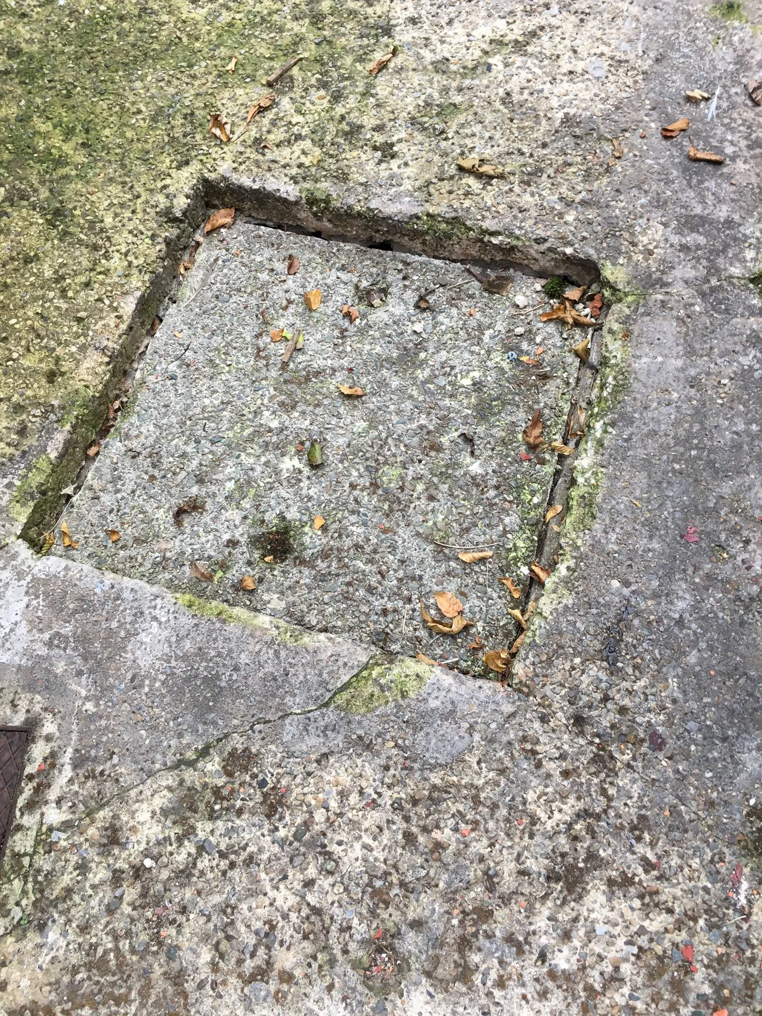 CCTV drain survey access point in paving