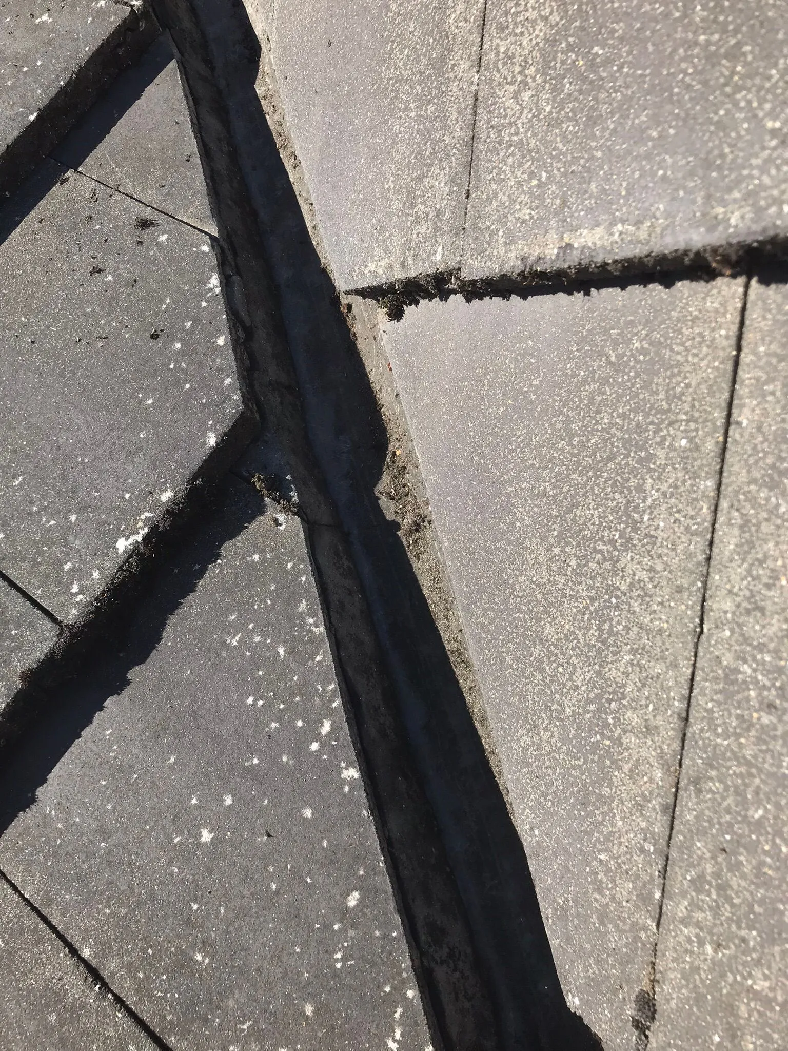 Close-up of dirty roof tiles with moss and debris in the valleys.