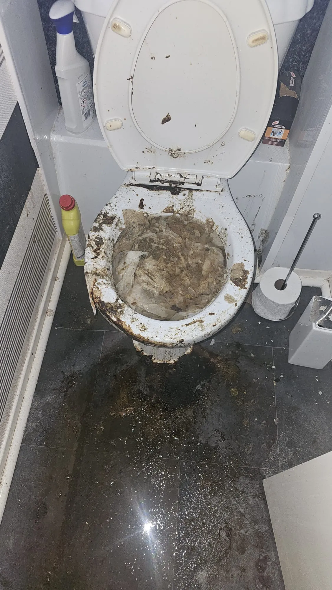 A picture of a severely blocked and overflowing toilet