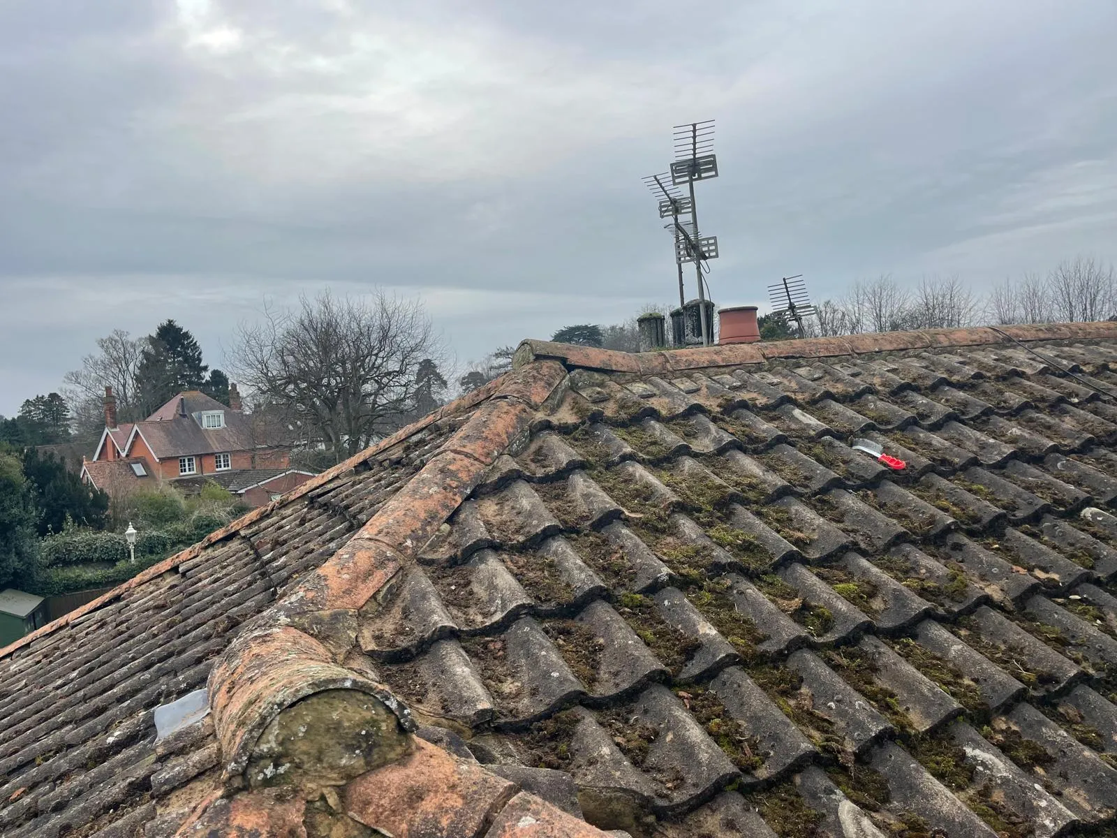 An old, weathered pitched tiled roof covered in thick green moss and algae.