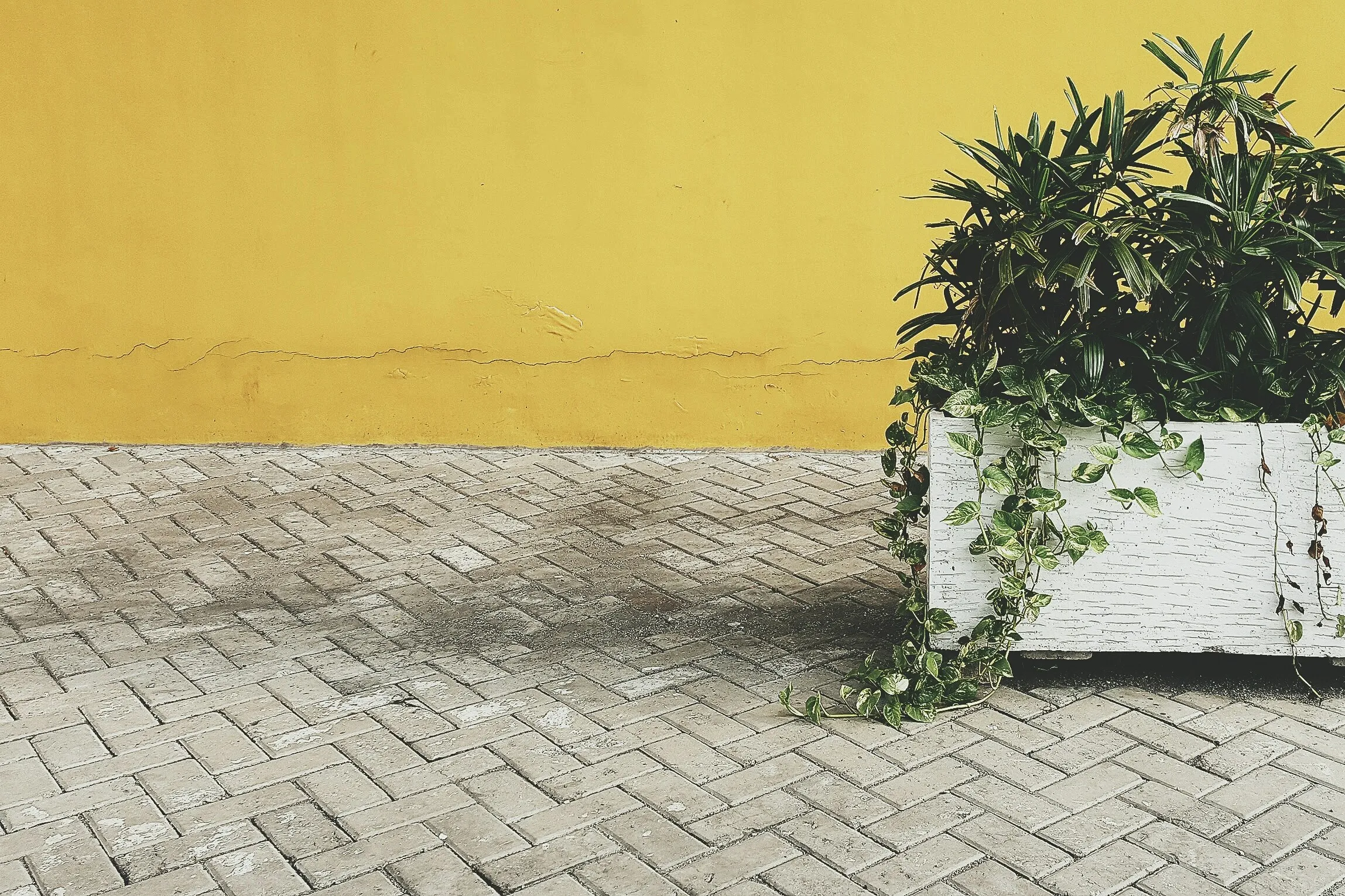 Grey block paving with herringbone pattern, a planter box with plants, and a yellow wall