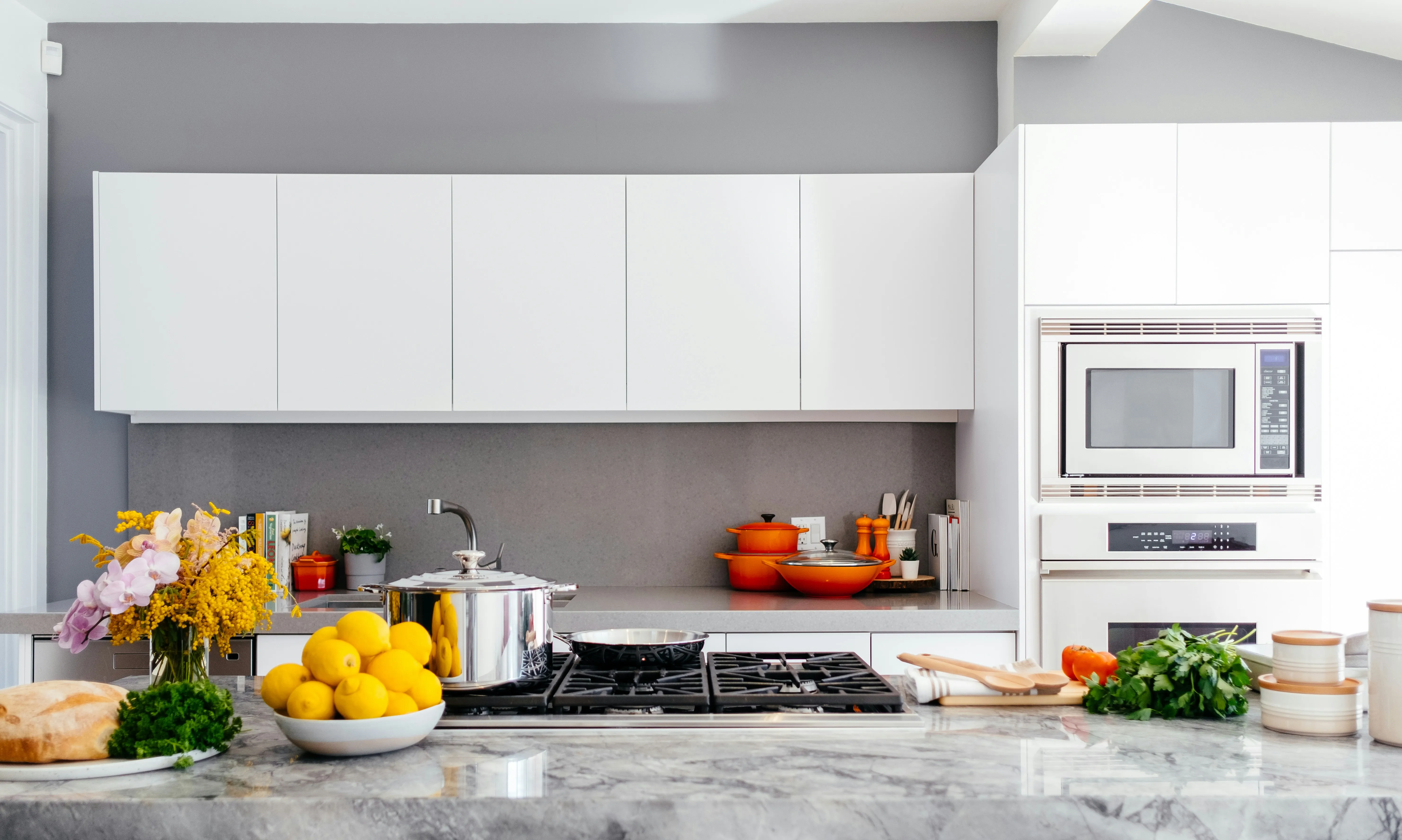 A modern, clean kitchen, highlighting a common area where homeowners might encounter pests like ants, mice, or cockroaches.