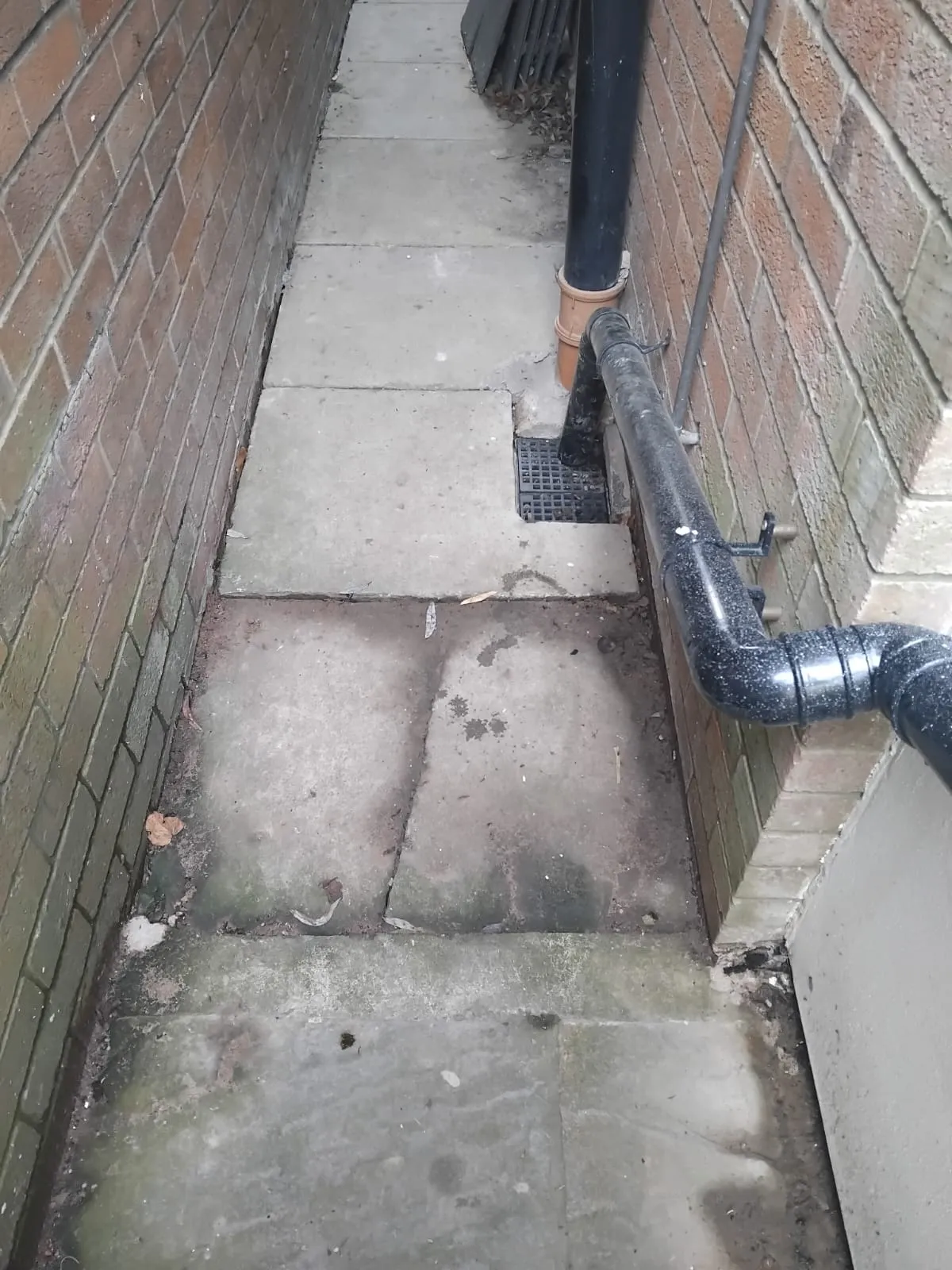 A gully drain with a black grate and a downpipe between two brick walls, with wet and discolored paving slabs.