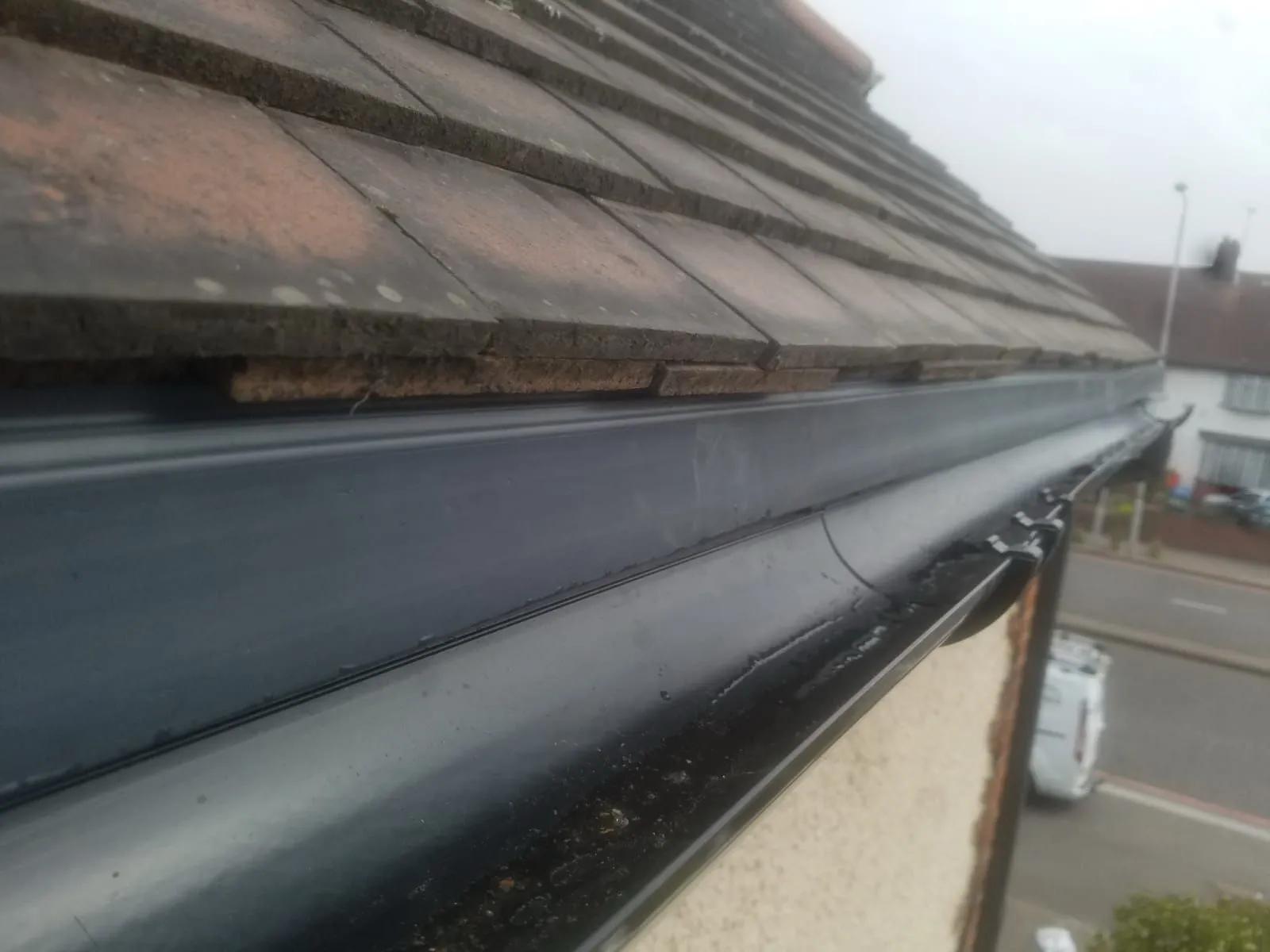 Close-up of guttering and roof tiles
