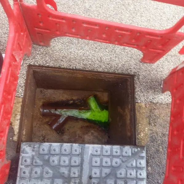 Open drain showing green dye for diagnosing a blocked drain.