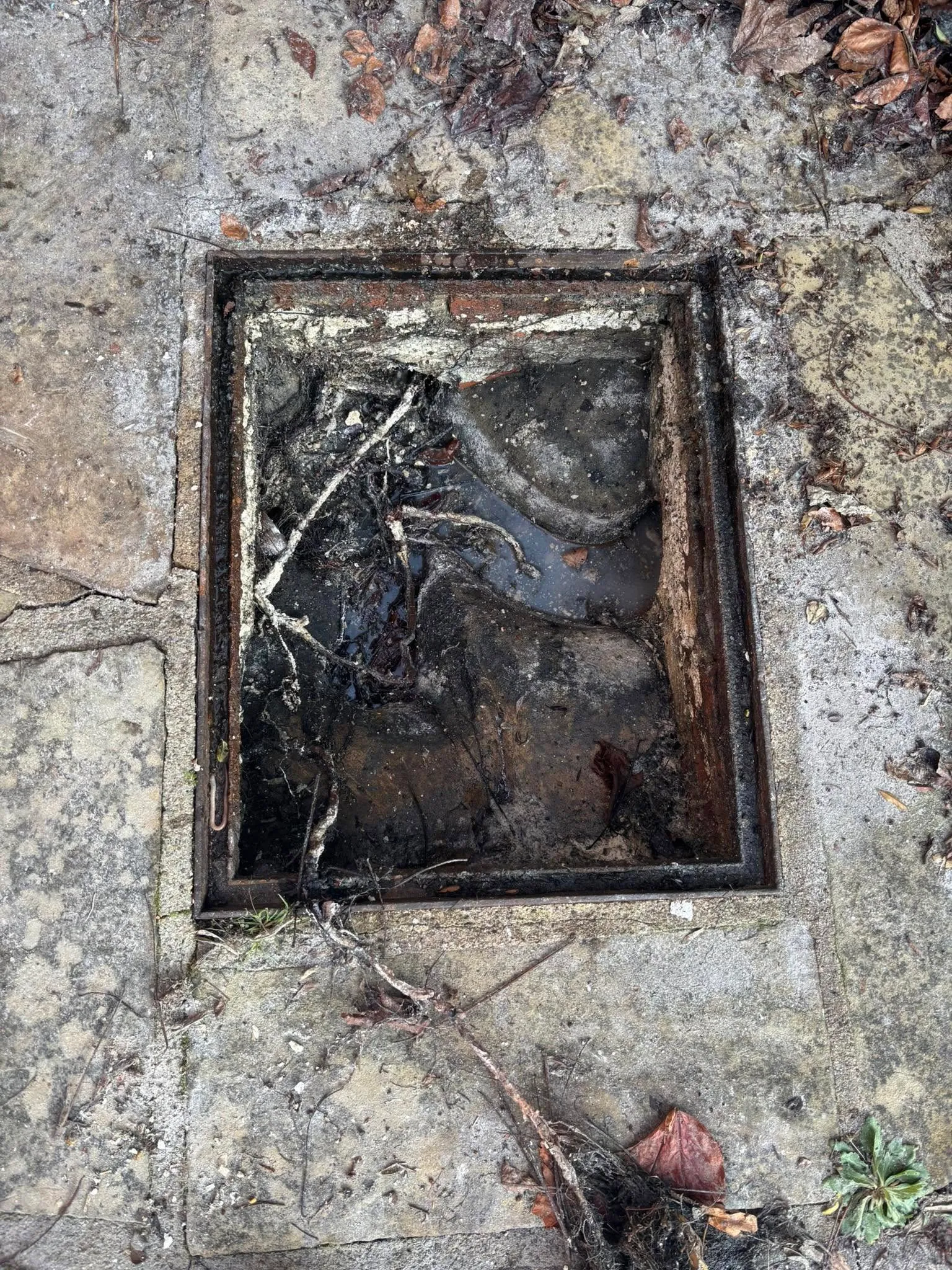 Image representing Blocked Drain Clearance service by Century Roofing and Building