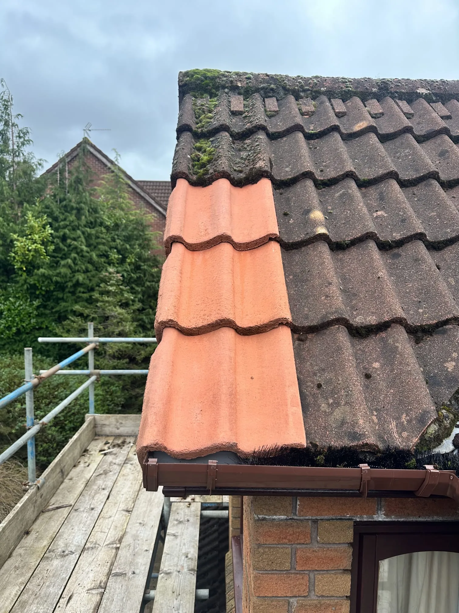 A close-up of a pitched tiled roof showing a clear contrast between recently installed clean terracotta concrete tiles and an older, moss-covered section of dark grey tiles. New brown plastic guttering is visible below the renovated section.