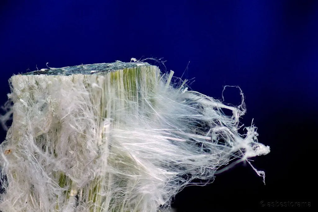 Microscopic close-up of dangerous asbestos fibers, showing their fine, friable white strands.