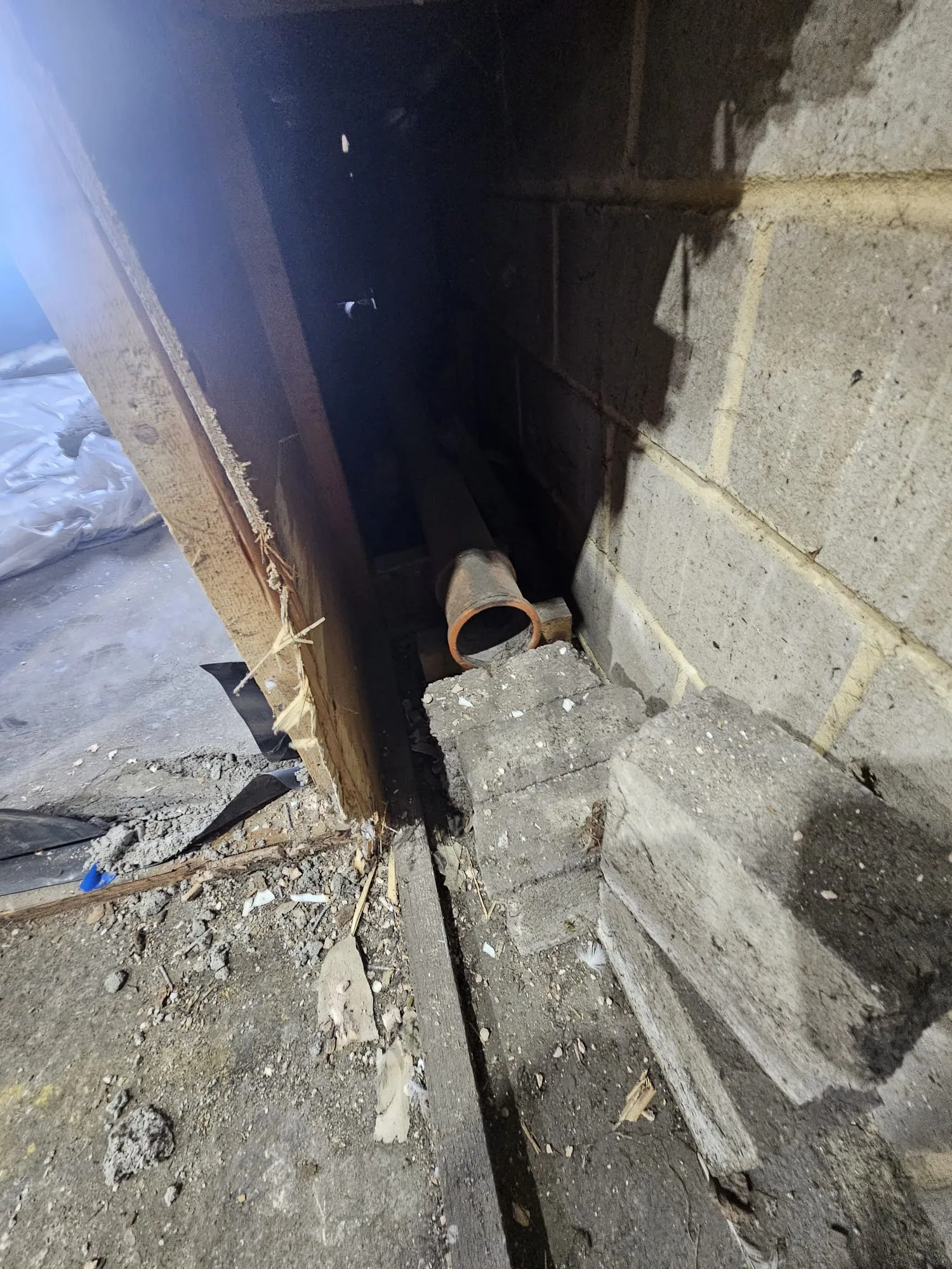 View of an exposed drain pipe in an excavated area, suitable for drain repair or new drainage installation.