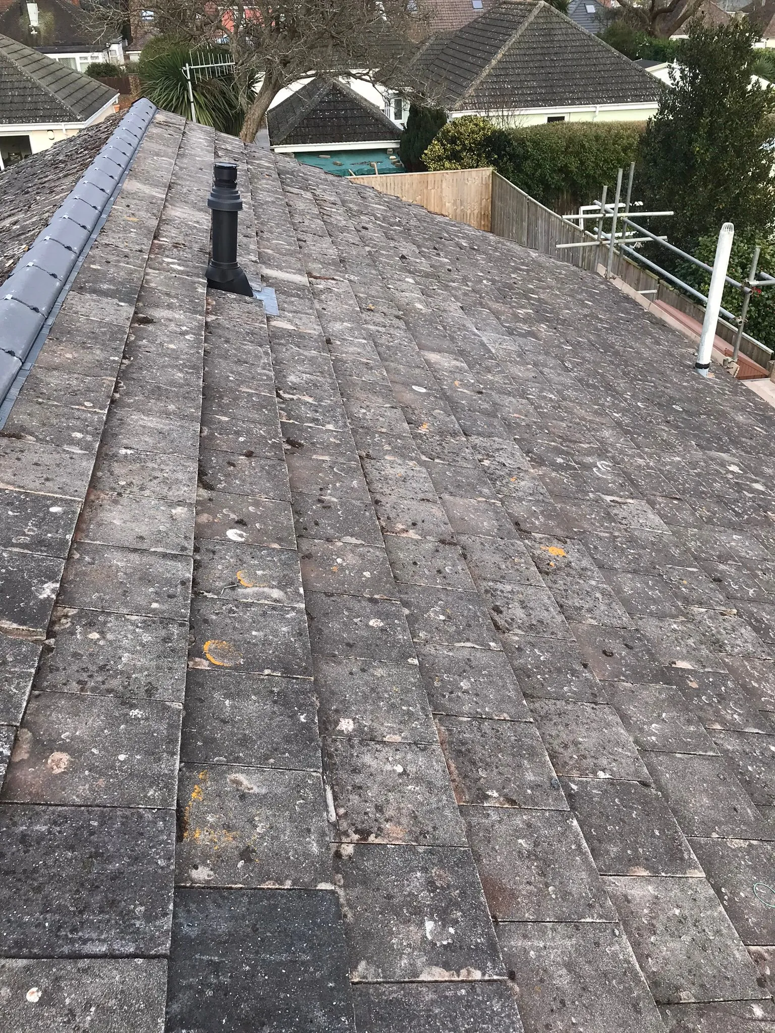 A residential tiled roof showing extensive moss growth, with new grey ridge tiles and a black roof vent.