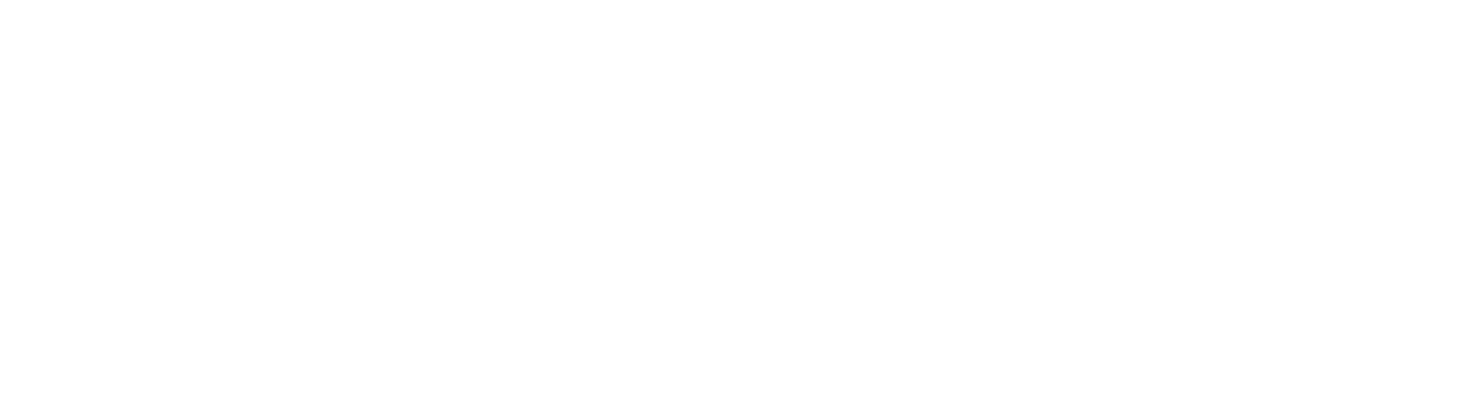 Essex And Suffolk Plastering Logo
