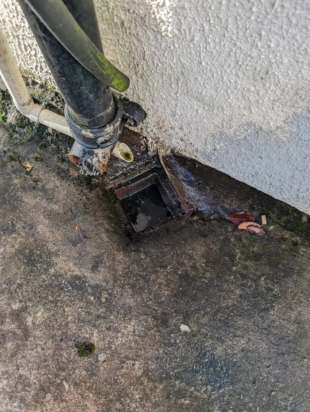 A picture of a blocked outside drain gully