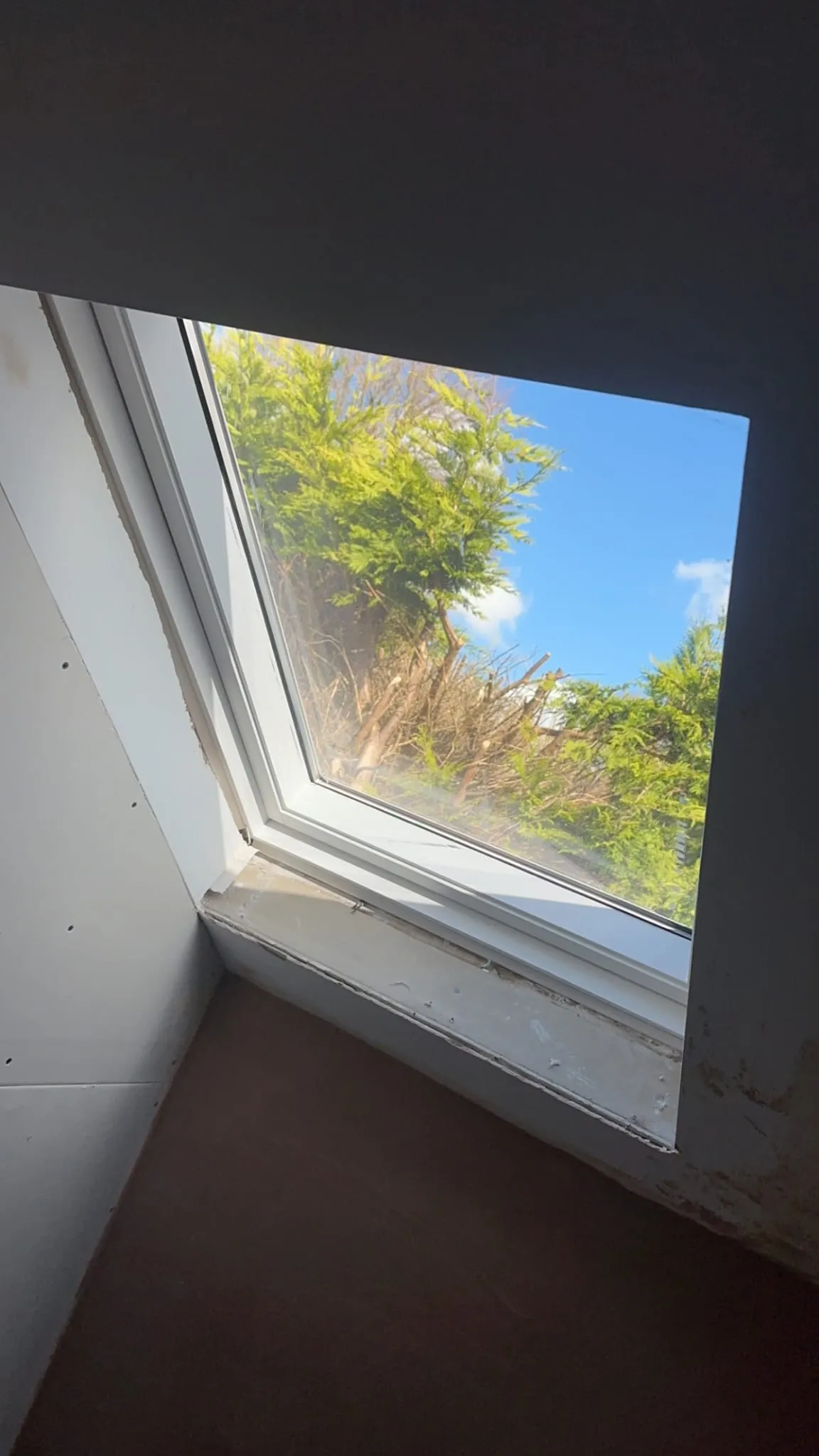 Newly installed Velux roof window looking out onto a bright sky and green foliage.