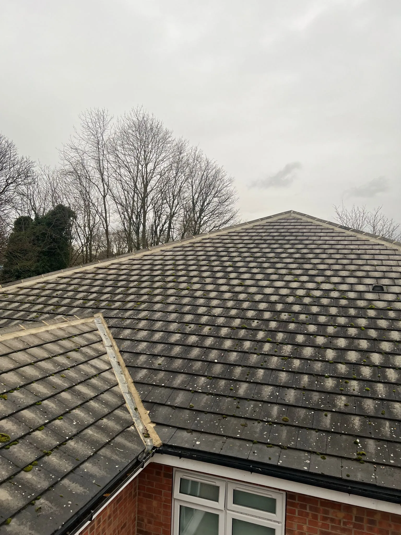 Pitched roof with tiles, moss, and guttering.