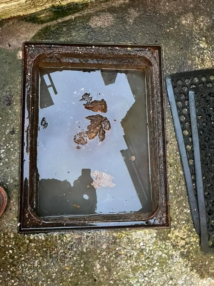 Overflowing outdoor drain