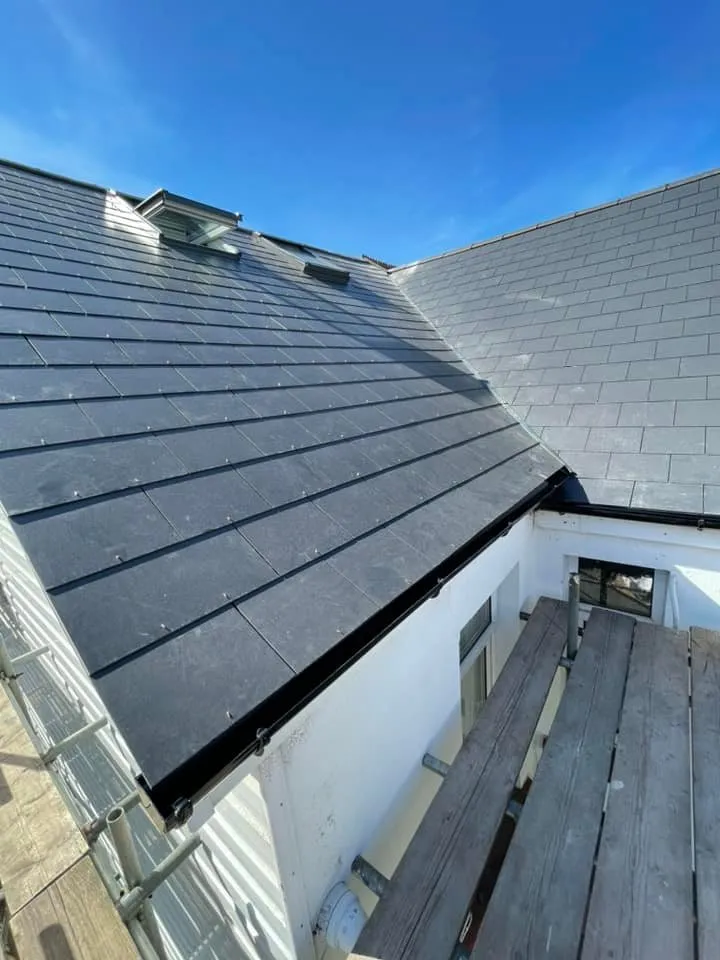 New pitched roof with rooflights and guttering by Toptile Roofing Specialists