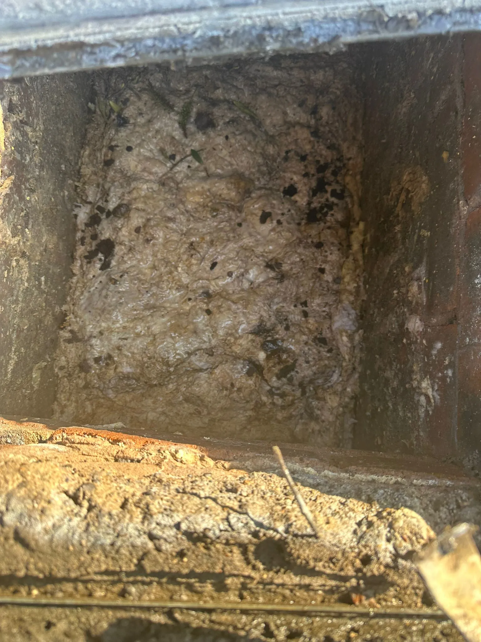 Close-up of a drain gully or inspection chamber severely blocked with solidified fat, oil, and grease (FOG) and debris.