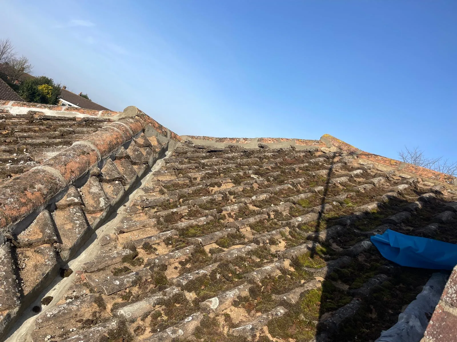 A close-up of an old, moss-covered tiled roof on a sunny day, highlighting the need for maintenance or repair.