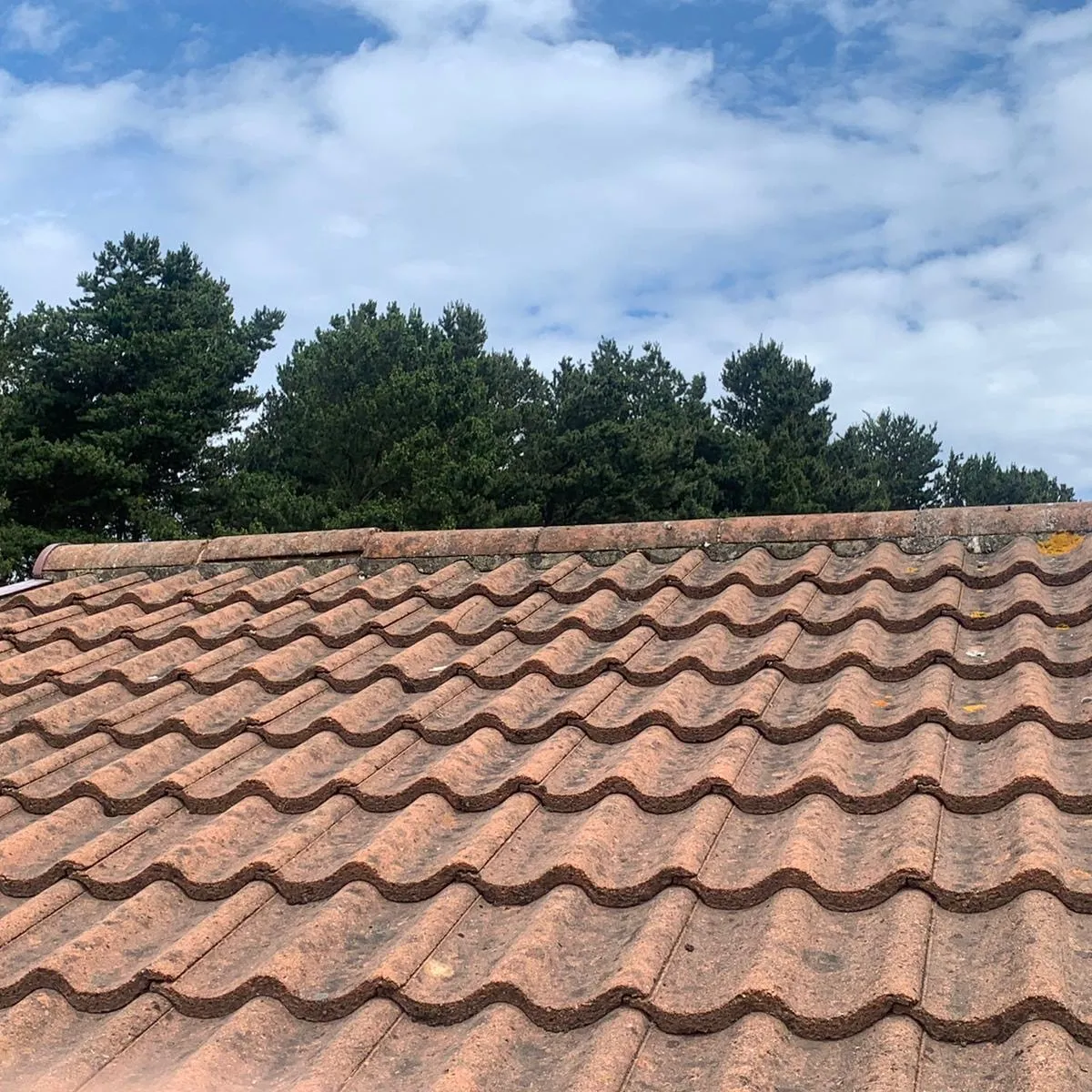 Red concrete interlocking roof tiles on a pitched domestic roof installed by Century Roofing and Building.