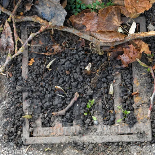 A blocked outdoor drain or gully covered in debris