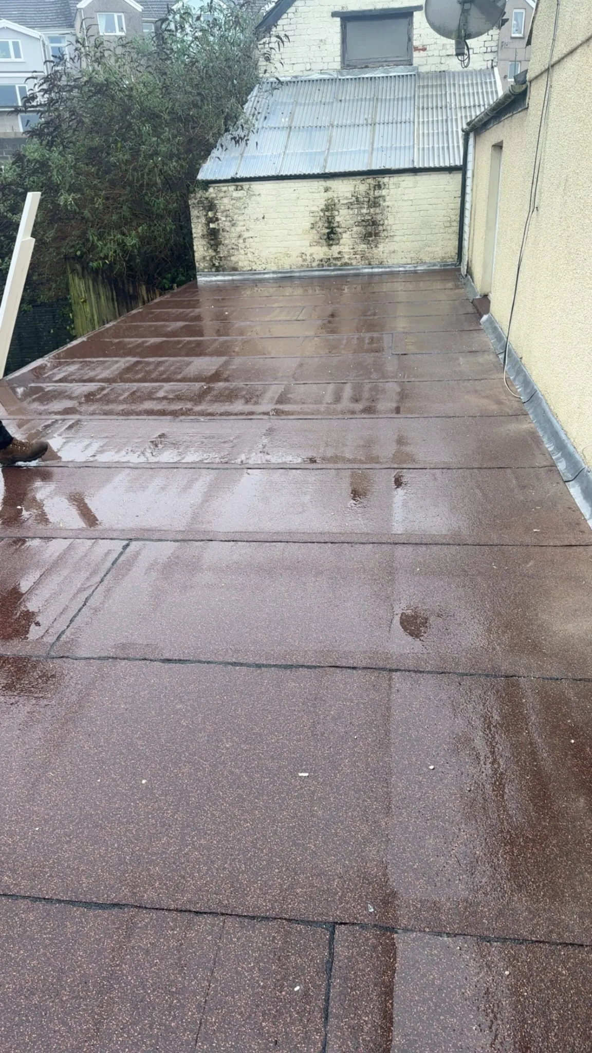 Wet torch-on felt flat roof with granular finish and visible seams after rain, indicating a recent installation or repair.
