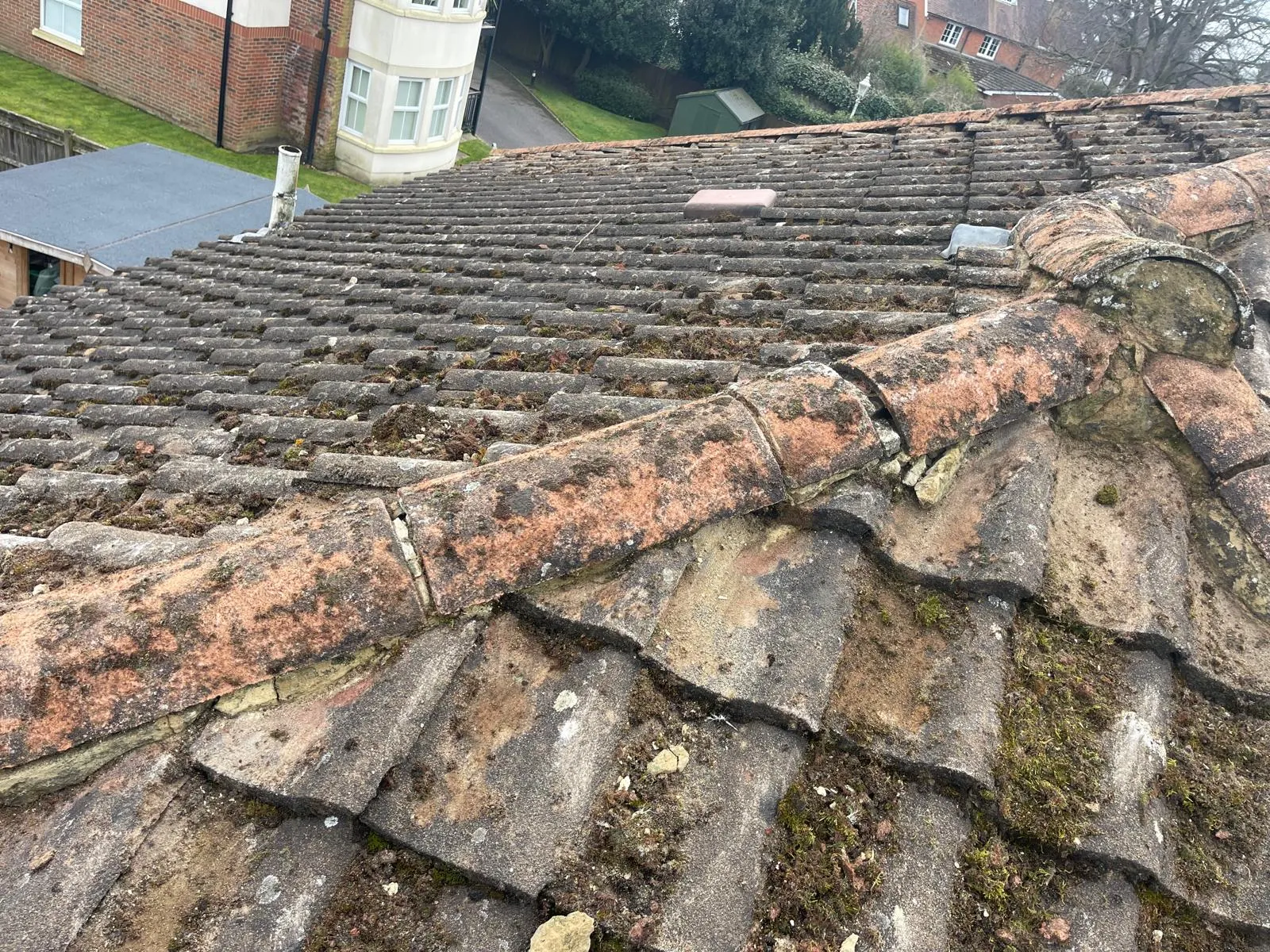 Close-up of an old tiled roof heavily covered in moss and dirt