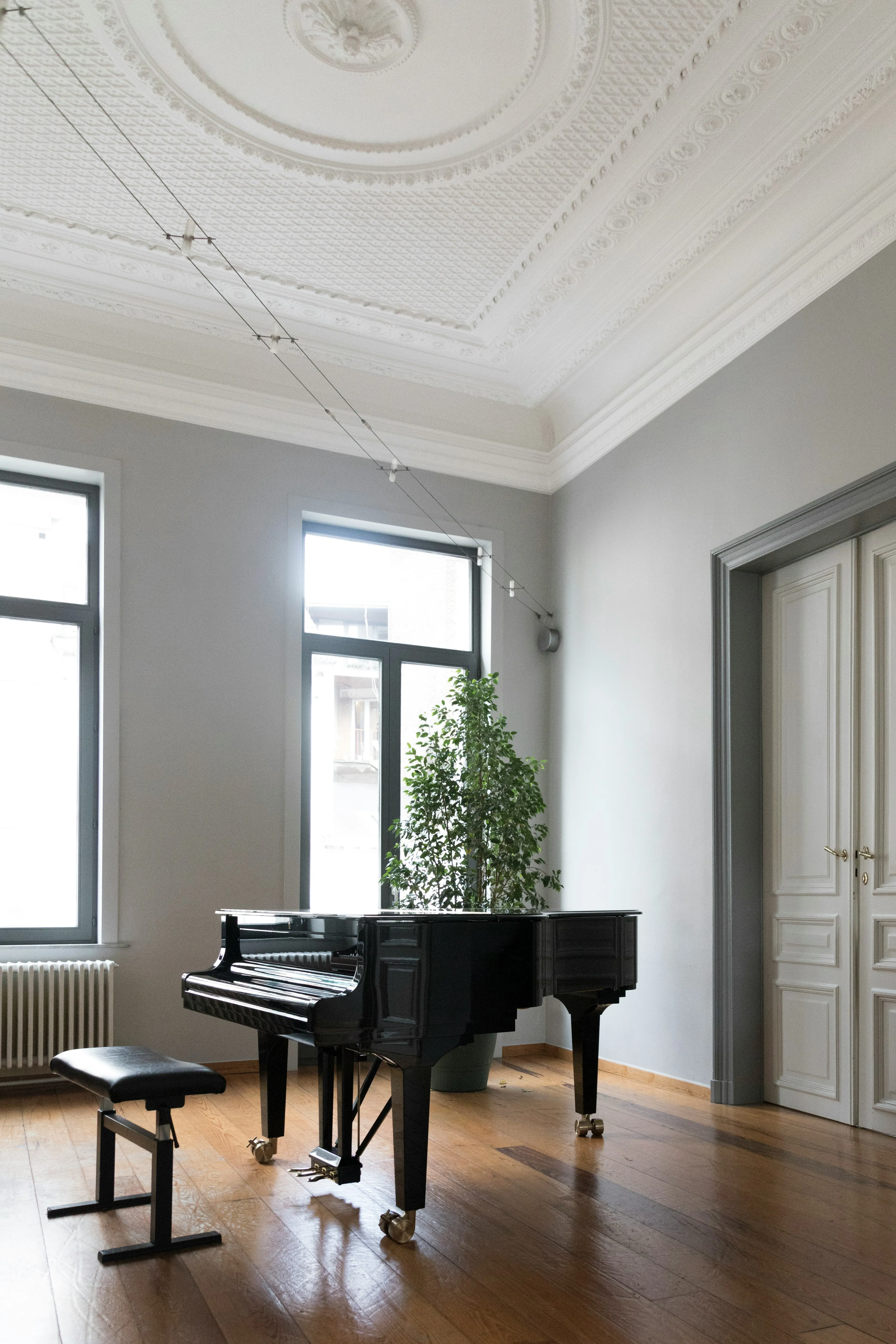 A black grand piano and matching stool in a spacious, well-lit room, representing the need for professional and expert piano removal services.