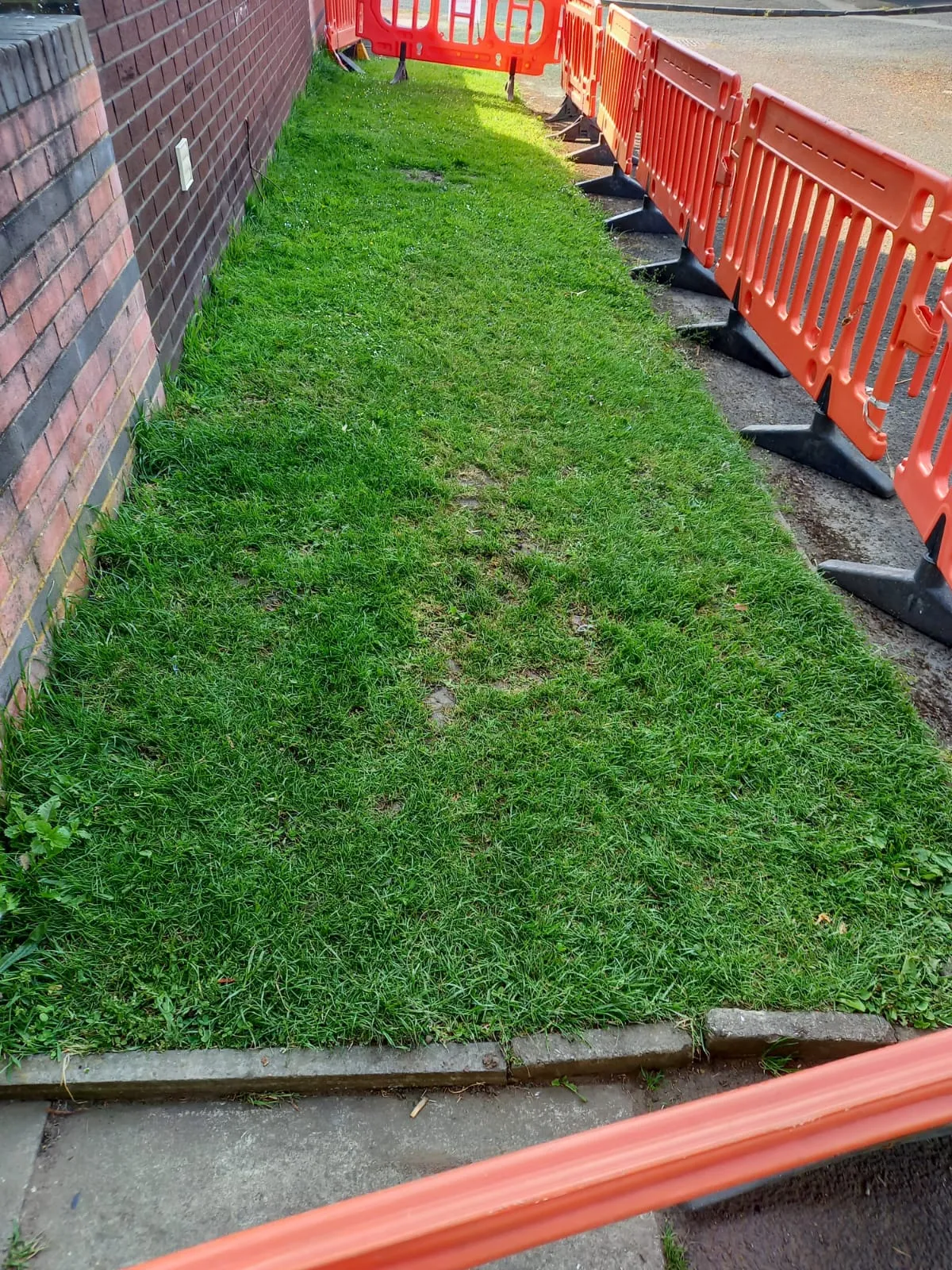 Green grass and temporary orange safety barriers for drainage groundworks