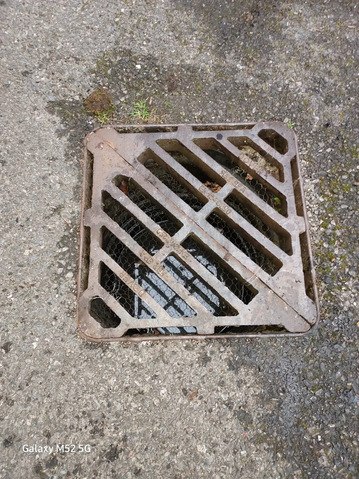 An overhead shot of a square metal drain grate with pooling water and leaves, suggesting a blockage in the storm drain system.