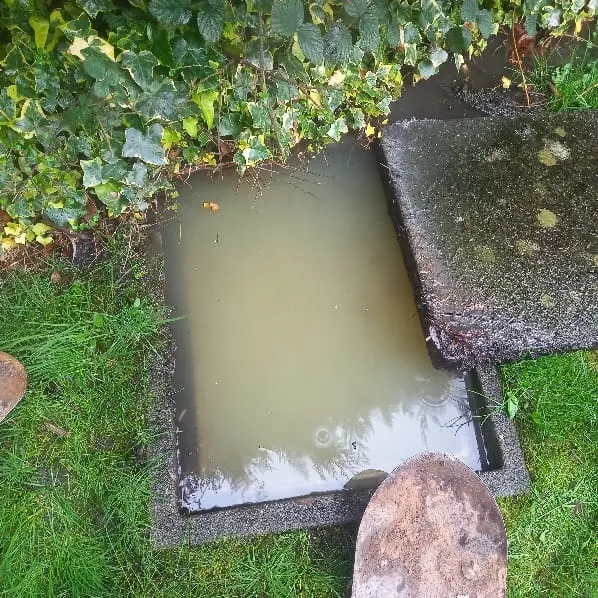 A picture of a blocked outdoor drain.