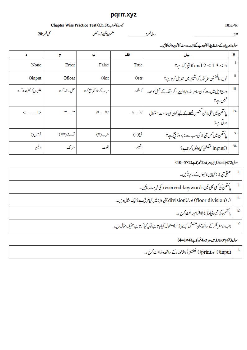First page of 10th Computer Science – Chapter 3 – Introduction to Python Programming – Chapter Wise Practice Test, 20 marks (Urdu)