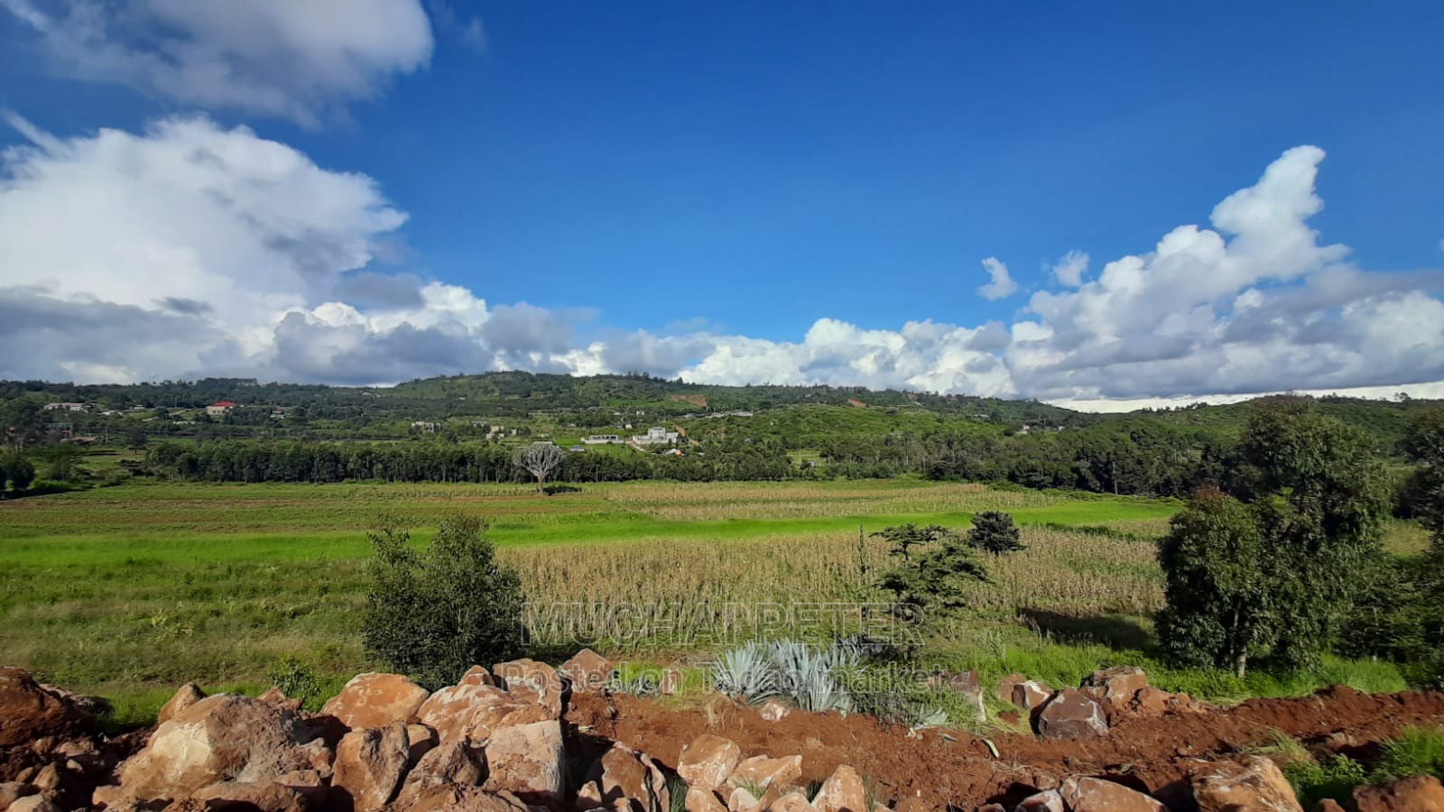 Quick Sale Plots - Ndigùinì, Kamangù 7