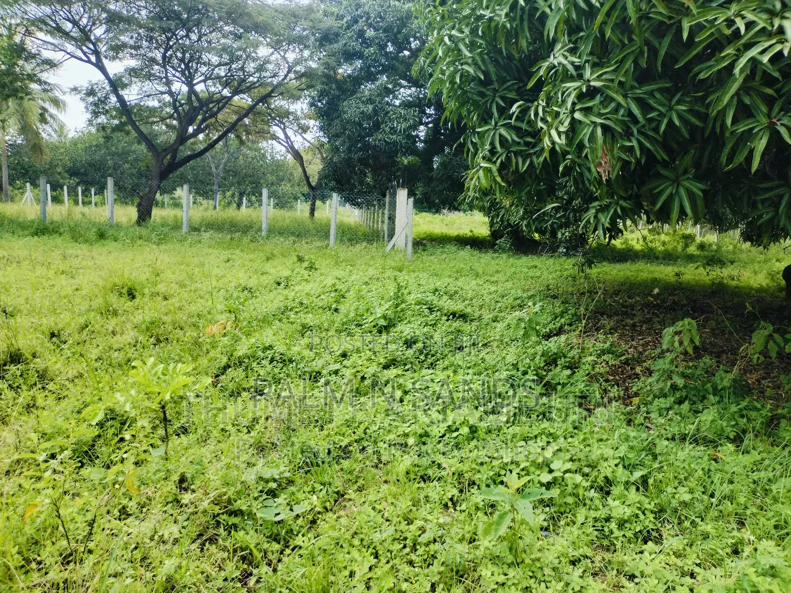 Own and Pay in Instalments 3