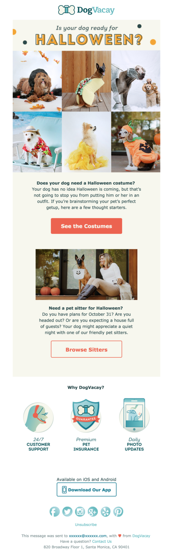 Halloween Costumes For Dogs