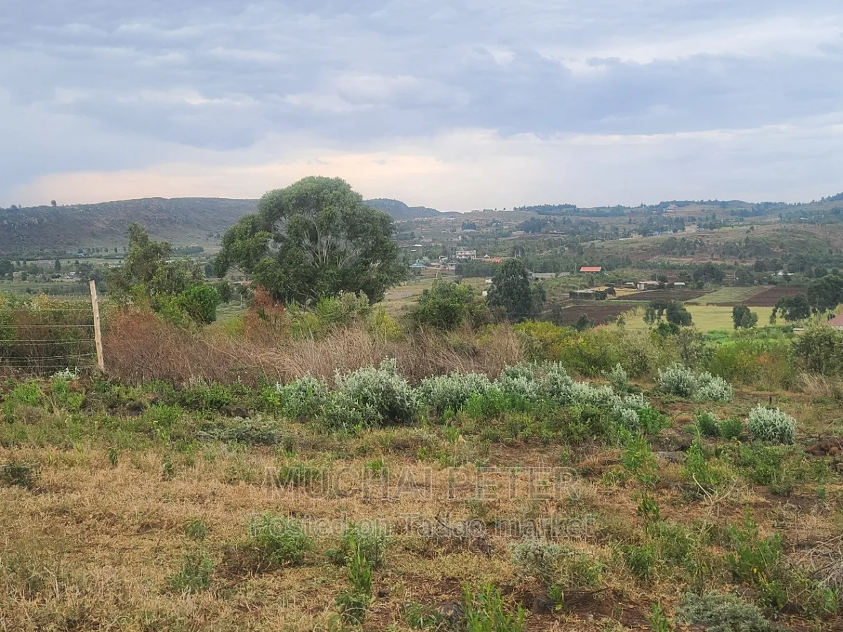 Kamangù, Ndigù-inì - Prime Plot 7