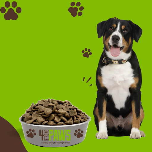 Choosing the Best Dog Food for Your Pet’s Health