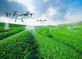 Advancing Agriculture: Top Fertilizer Companies in Pakistan and Digital Innovation