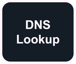Bulk DNS Lookup Tool
