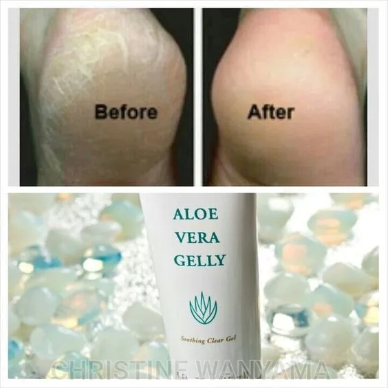 Aloe vera Gelly 2