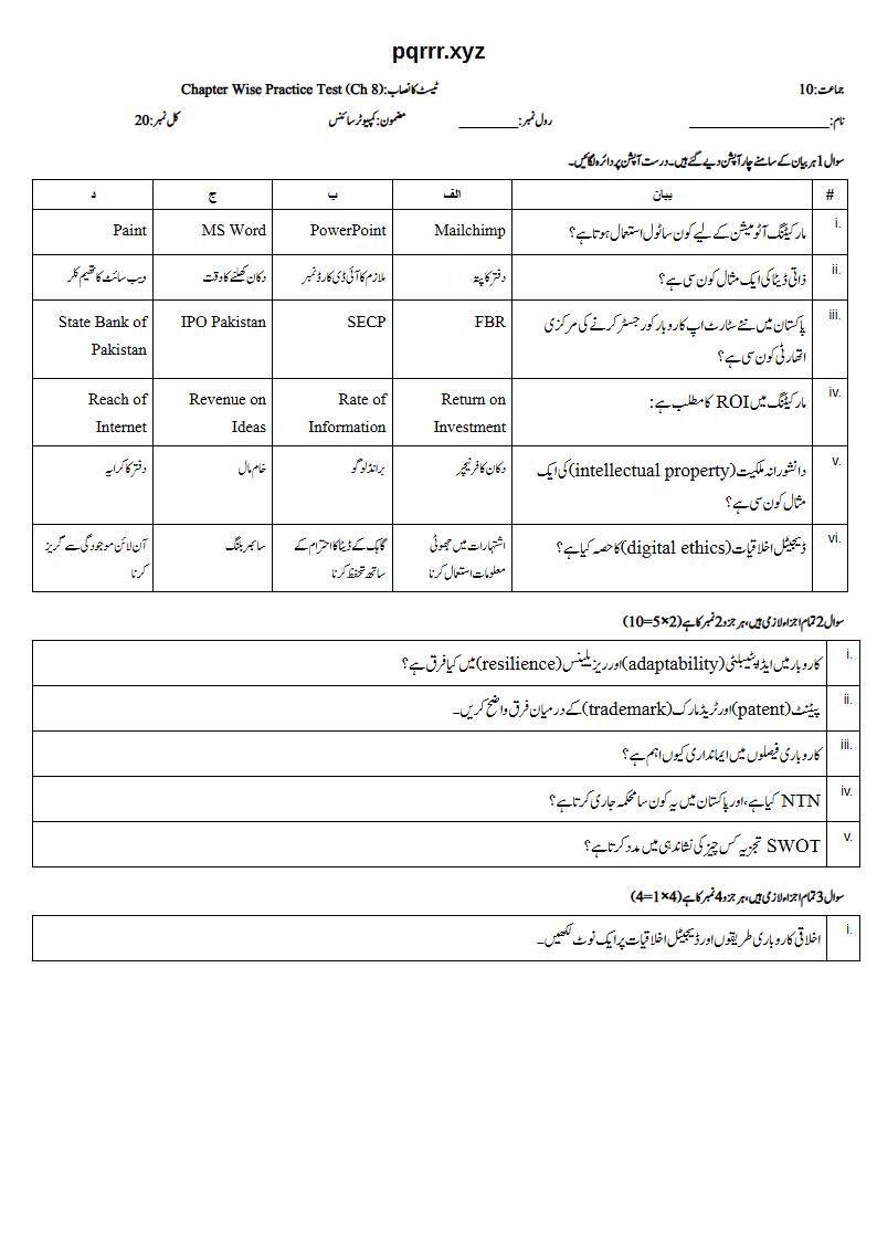 First page of 10th Computer Science – Chapter 8 – Digital Entrepreneurship – Chapter Wise Practice Test, 20 marks (Urdu)