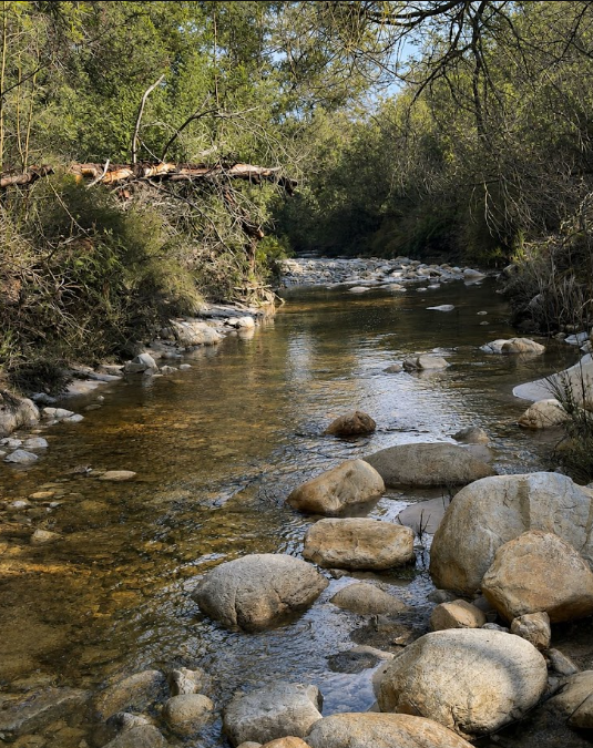 Bonniedale Wilderness Ranch - Image 8