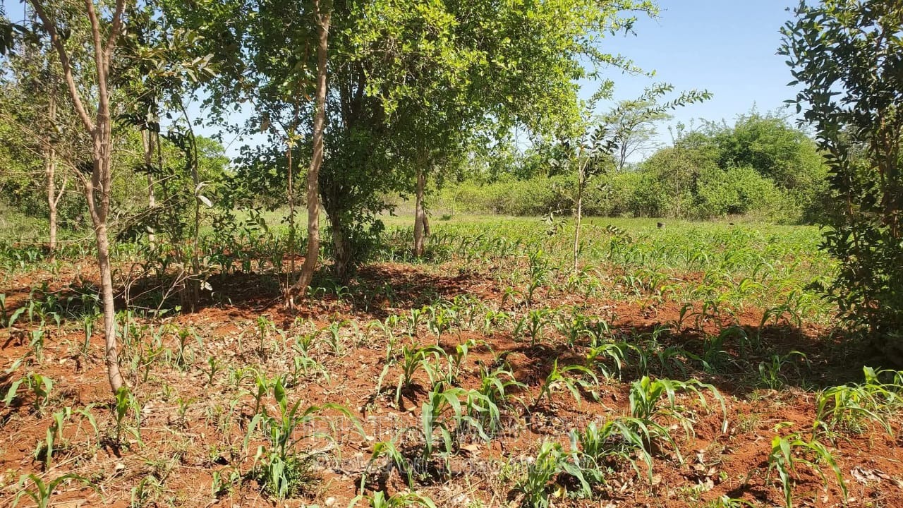 Farming land for sale 2