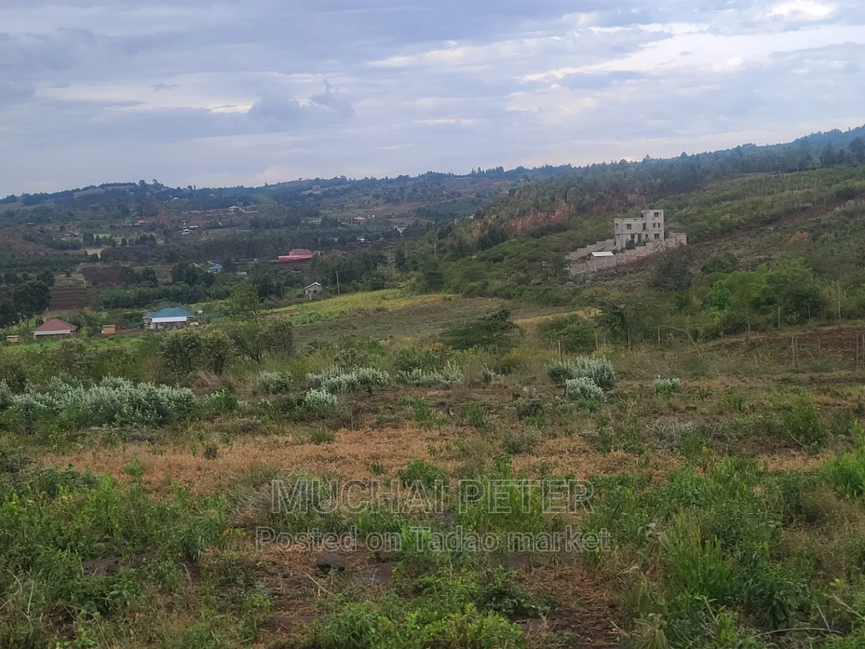 Kamangù, Ndigù-inì - Prime Plot 6