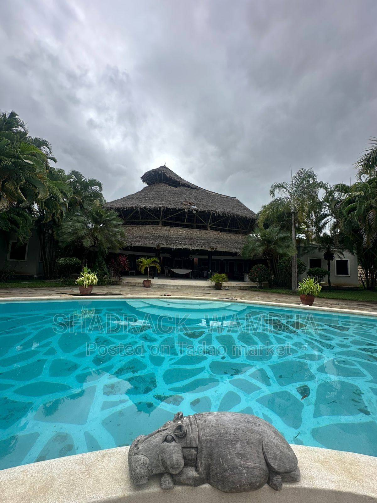 Fully Furnished villa 3