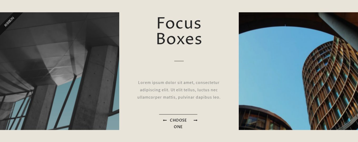 Focus Boxes 8