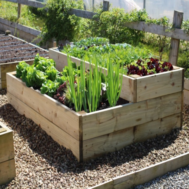 Sustainable Gardening Practices: Using Software to Reduce Environmental Impact