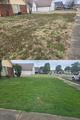 Lawn Doctor of DeSoto County – Landscaper photo 2 in Olive Branch, MS